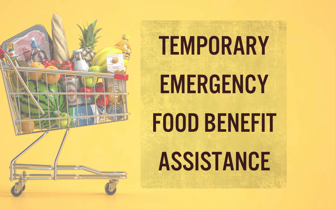 Webslider_app food assistance